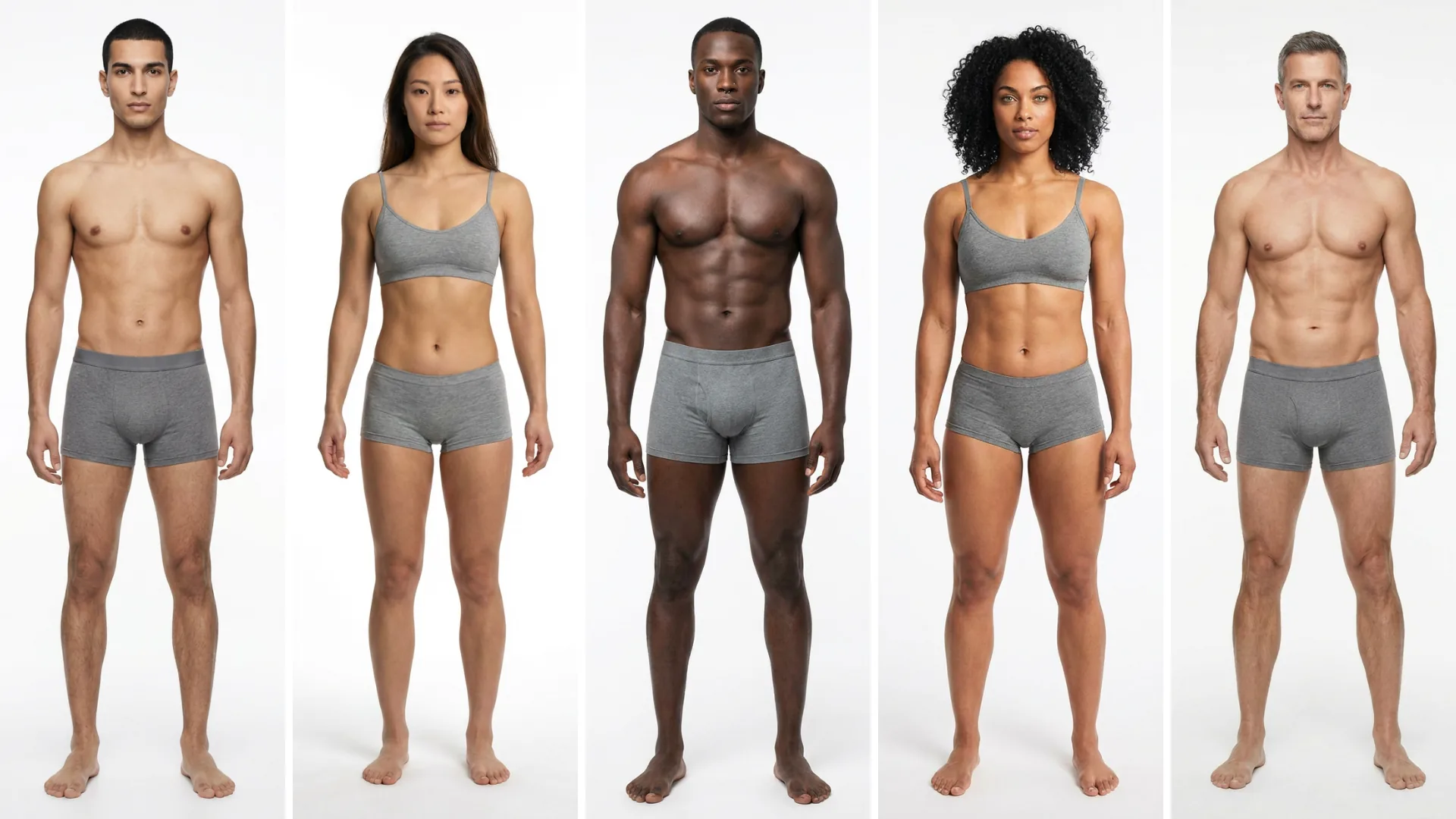 Créer un mannequin personnalisé